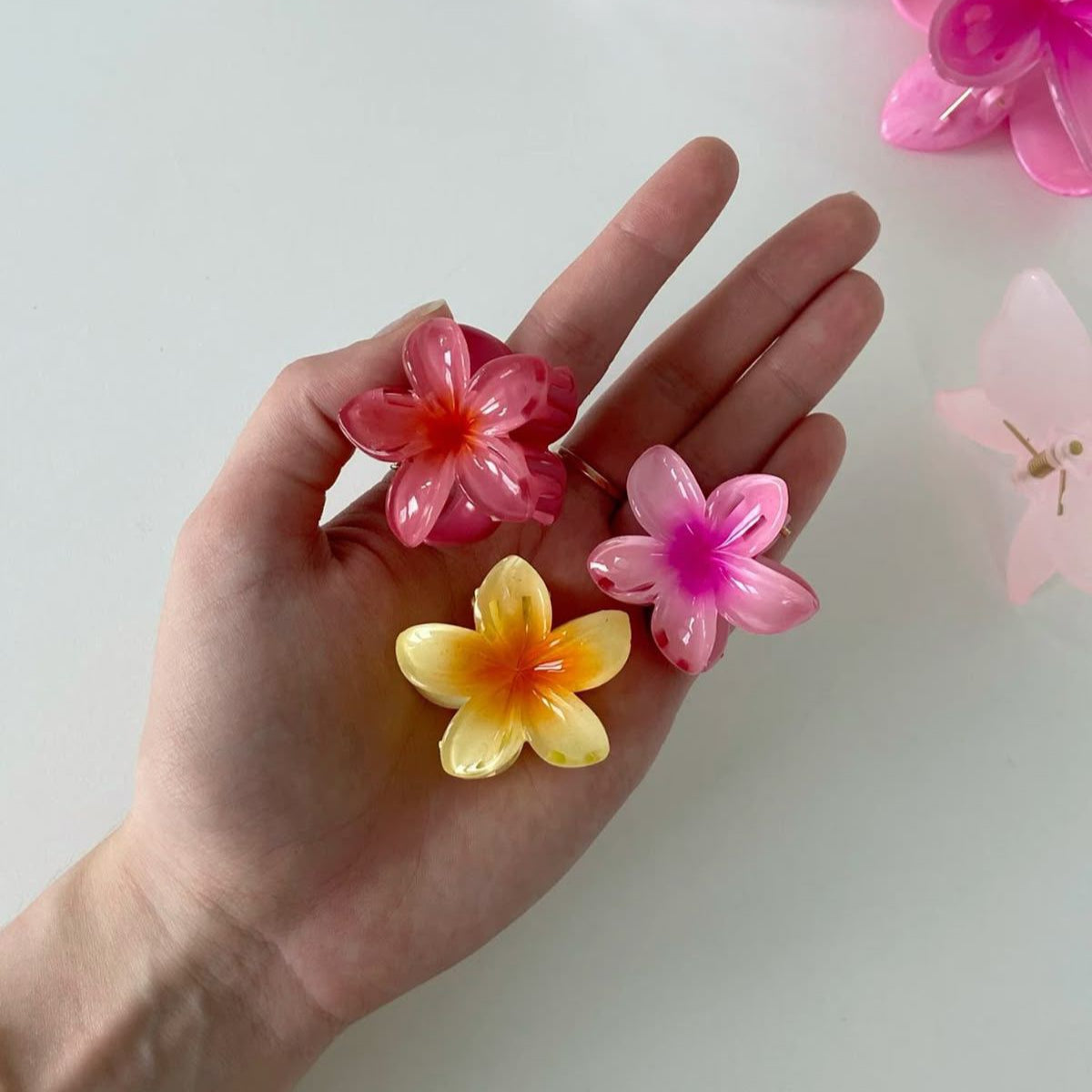 Hand holding two floral hair accessories with a plain background