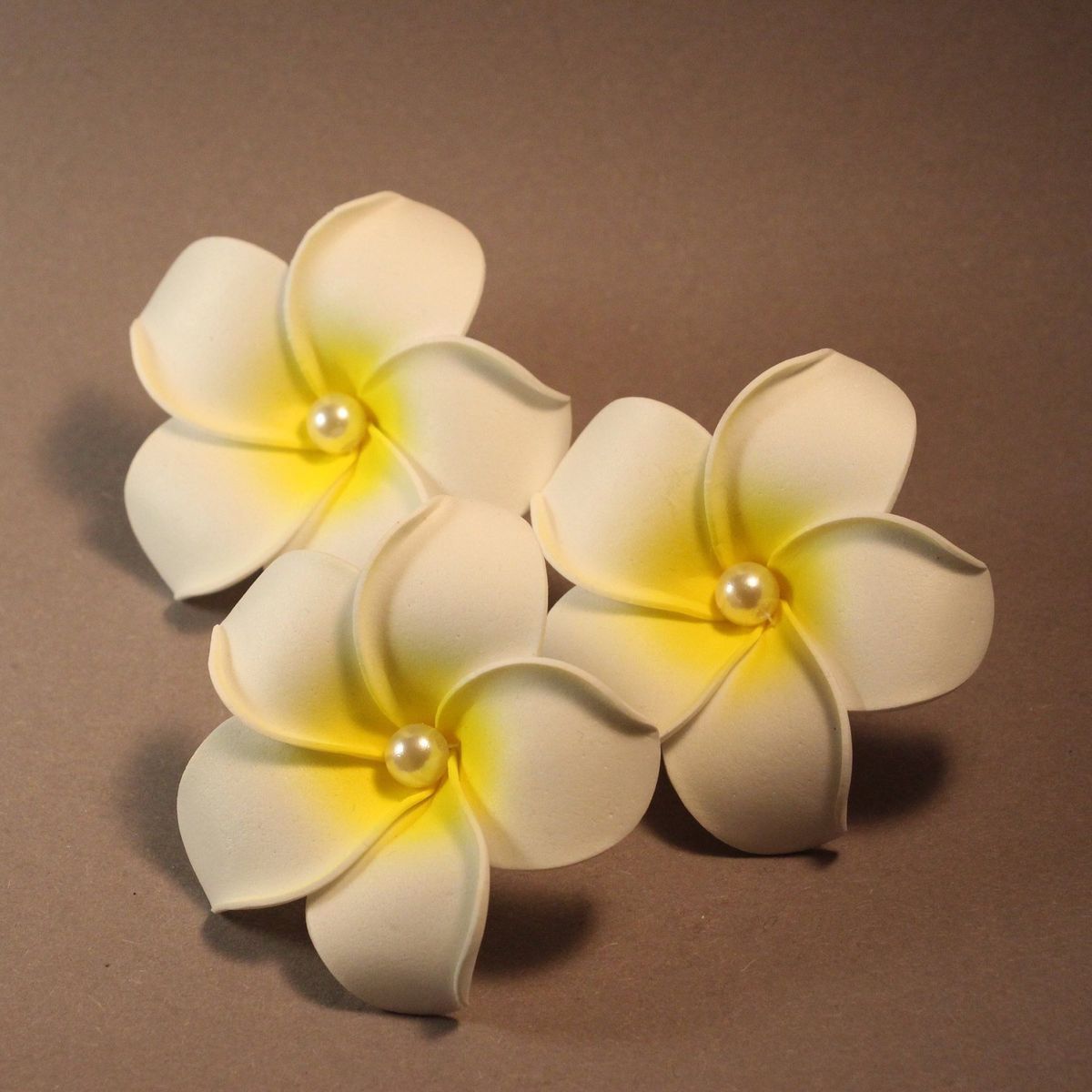 Rosella's Hair Clip