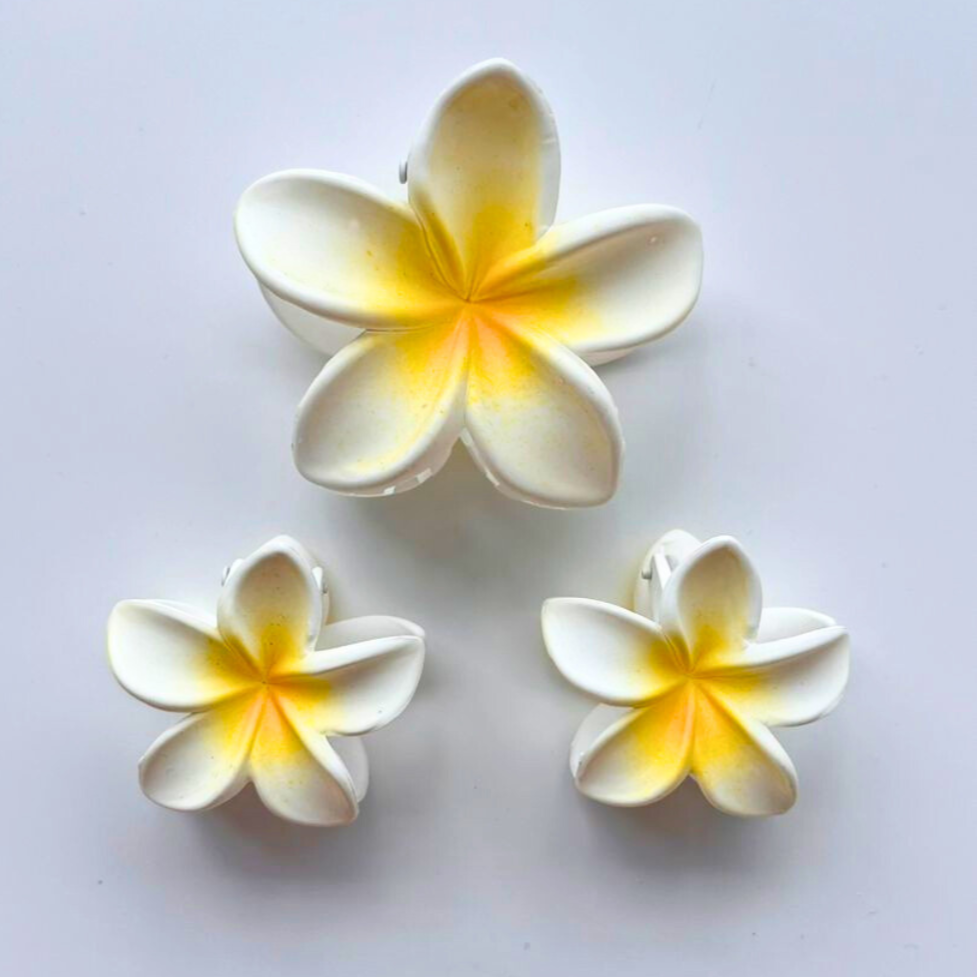 Three white flowers with yellow centres claw clips on a light grey background