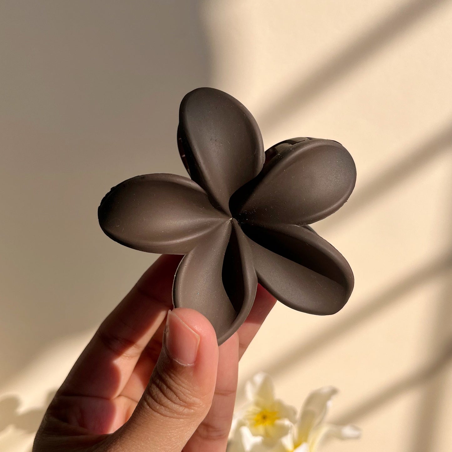 Hand holding a dark brown flower hair clip against a neutral background with white flowers.